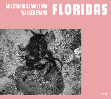 Floridas Floridas